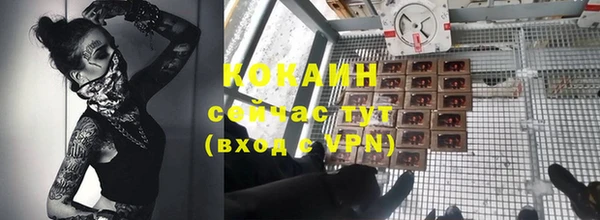стаф Козельск