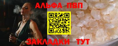 стаф Кунгур