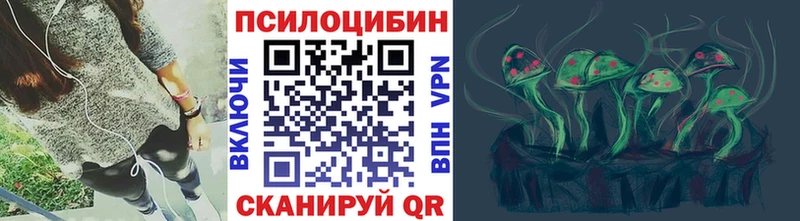 Галлюциногенные грибы Psilocybe  где можно купить наркотик  Корсаков 