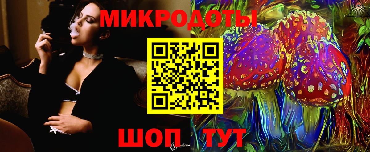 Псилоцибиновые грибы Psilocybe Корсаков