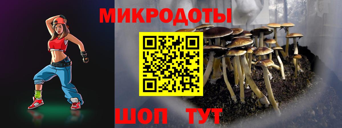 хочу наркоту  Вход с VPN  Галлюциногенные грибы прущие грибы  Корсаков  Галлюциногенные грибы мухоморы 
